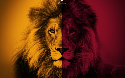 壹体育焦点-世界杯主题曲由荷兰DJ制作